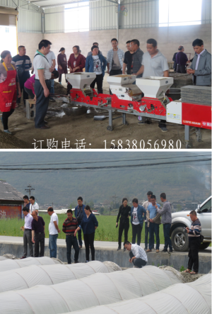 松桃县技术人员赴秀山县取经水稻钵苗机插育秧技术