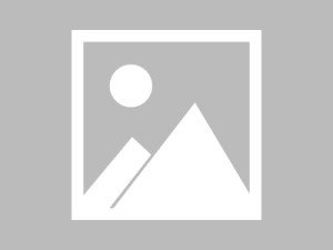 2018中国国际产业用纺织品及非织造布展览会评估分析（上）